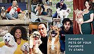 FAVORITE PETS OF YOUR FAVORITE TV STARS