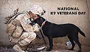 K9 veterans-day