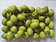Ceylon Olive