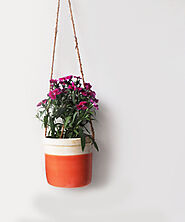 4 Reasons Why You Need These Wall Planters Online