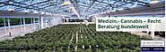 Cannabis Agentur für Medical Lizenz in Deutschland