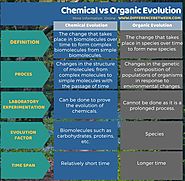 Difference Between Chemical and Organic Evolution