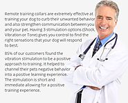 Dental Care For Your Dog