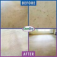Affordable End of Lease Carpet Cleaning Services in Bunbury