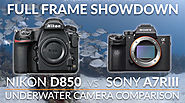 Nikon D850 vs Sony A7R III Full Frame Camera Underwater Shootout (VIDEO) | Shutterbug