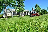 Maintenance and Lawn Needs | GARDENS NURSERY