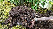 Domestic Compost: How to Prepare it at Home? | GARDENS NURSERY