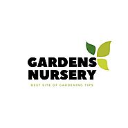 Gardens Nursery – Medium
