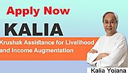 Kalia Yojana List in Odisha 2020 - PM Agreement