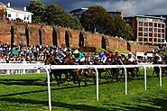 Horse Race Track Railing: Importance It Holds Along With Track Bias