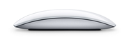 Apple (India) - Magic Mouse - The world's first Multi-Touch mouse.