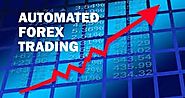 Everything you need to know about Forex Trading Software