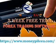 What on earth is Forex Trading Software