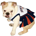 Amazon.com: Pets First DEN-4007-MED NFL Denver Broncos Dog Cheerleader Dress, Medium: Pet Supplies