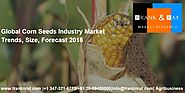 Global Corn Seeds Industry Market Trends, Size, Forecast 2018