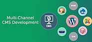 Multi-Channel CMS Development Agency