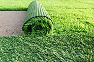 Artificial Grass Hire: Here Is What You Should Know!
