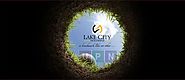 Lake City Holdings