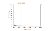 Protein Mass Measurement-MtoZ Biolabs