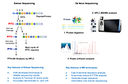 Protein N-Terminal Sequencing-MtoZ Biolabs