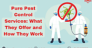 Pure Pest Control Services: What They Offer and How They Work