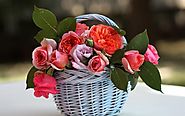 Những mẫu hoa hồng đẹp tặng sinh nhật bạn gái