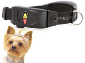 Best GPS Dog Tracker Reviews and Ratings 2014