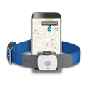 Tagg Pet GPS Tracking Collar Reviews