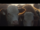 Chevy Super Bowl Commercial: "Romance" -- 2015 Silverado HD | Chevrolet