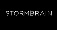 digital marketing consultant san diego-Storm Brain