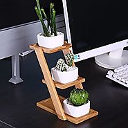 Top 10 Best Ladder Bamboo Plant Stand Reviews 2018-2019 on | Ideas