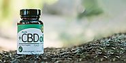 What is The Similarities and Differences between Opioids and CBD Oil?
