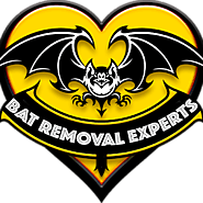 Florida Bat Removal, Bat Removal Service Near Me - Bat Removal Experts