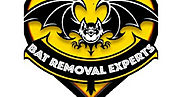 Bat Removal Service in Wellington, Florida - Bat Removal Experts