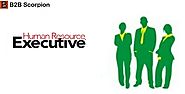 HR Executives Email List | HR Executives Mailing Lists | B2B Scorpion