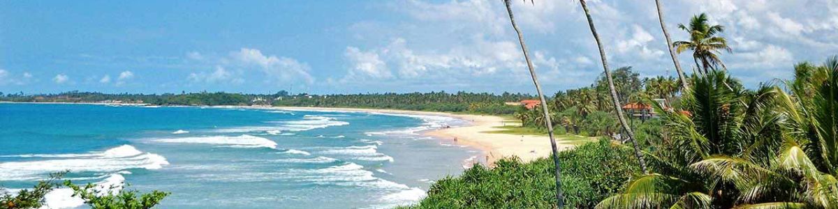 Headline for 6 Best Beaches in Sri Lanka- Uncover Sri Lanka's Top Six Beach Hubs