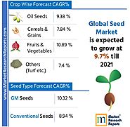 USD 39.17 Billion Opportunity in Global Transgenic Seed Market - MarketResearchReports.com