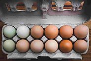 What is the importance of Eggs in the Military Diet