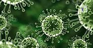 Nipah Virus Infection: A New Menace to Mankind - Insights care