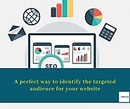 A perfect way to identify the targeted audience for your website