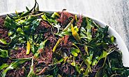 Foraging Gourmet Types of Seaweeds in the UK