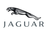#CaptureAJag- Jaguar