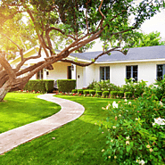 Eco friendly landscaping ideas for your garden
