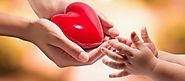 An Organ Donor Saves As many As 50 Lives – Let's Gift a Organ on This World Organ Day 2018