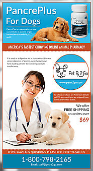 Why PancrePlus is prescribed for dogs?