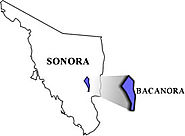 Bacanora de Sonora