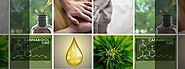 CBD and Fibromyalgia: All About Cannabidiol for Pain Relief