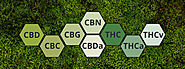Types of Cannabinoids | CITIVA | Medical Cannabis Research