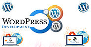 Custom WordPress Web Development Services Provider Company