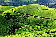 Top 8 Things to Do In Kerala for an Unforgettable Kerala Tour